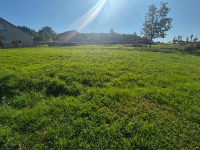 For sale Lalizolle 2300 m2 Allier (03450) photo 3
