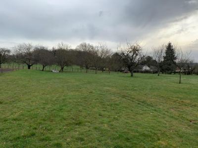 Acheter Terrain Coulanges-les-nevers Nievre