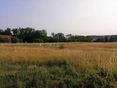 Annonce Vente Maison Messia-sur-sorne 39