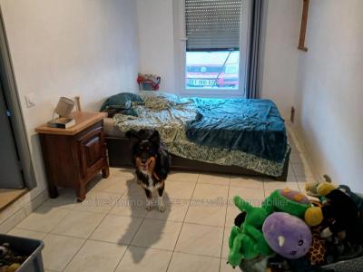 Acheter Maison Ceret 249000 euros