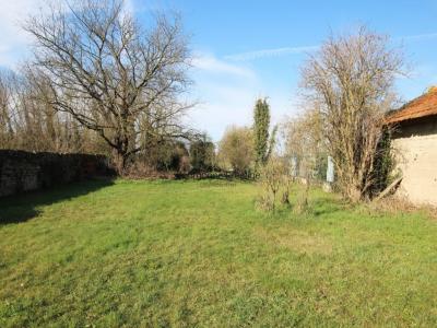 Acheter Maison Cuisery 195000 euros