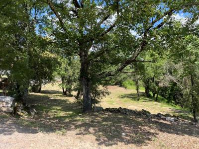Acheter Terrain  Ardeche