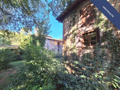 Acheter Maison Marsac-en-livradois Puy de dome