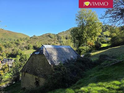 Annonce Vente Maison Cheust 65