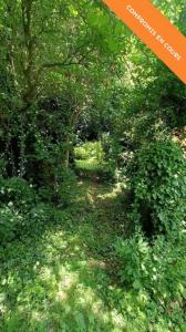 For sale Fontenailles 508 m2 Seine et marne (77370) photo 4