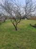 For sale Land Bauge BAUGA-EN-ANJOU