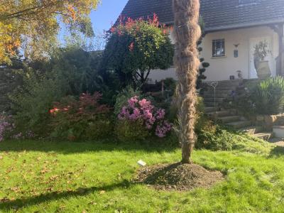 Acheter Maison 164 m2 Wittisheim