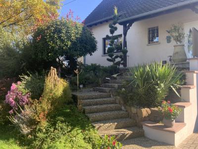 Acheter Maison Wittisheim 465000 euros