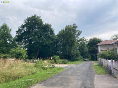 Acheter Terrain Dommartin 65000 euros
