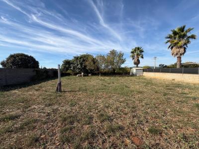 Acheter Maison Canet 484000 euros