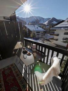 Annonce Vente 3 pices Appartement Auron 06