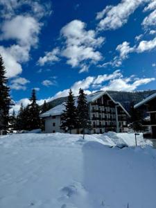 Acheter Appartement 55 m2 Auron