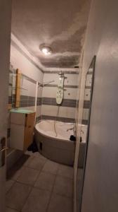 Acheter Appartement 40 m2 Paris-19eme-arrondissement