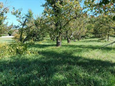 Annonce Vente Terrain Saint-vincent-rive-d'olt 46