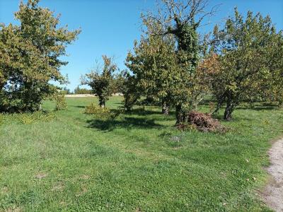 Acheter Terrain Saint-vincent-rive-d'olt Lot