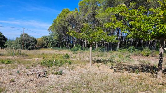 For sale Vendemian 3360 m2 Herault (34230) photo 0