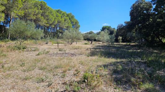 For sale Vendemian 3360 m2 Herault (34230) photo 1