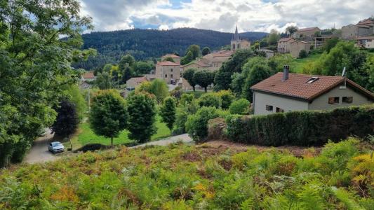 Annonce Vente Terrain Versanne 42