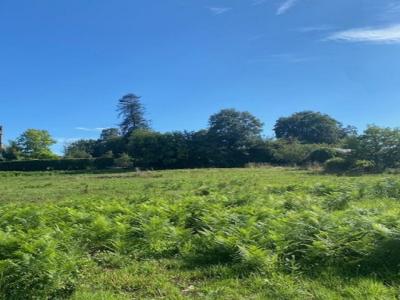 Acheter Terrain 450 m2 Saint-guyomard