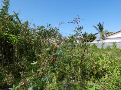 Annonce Vente Terrain Saint-benoit 974