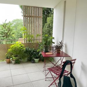 Acheter Appartement 64 m2 Toulouse