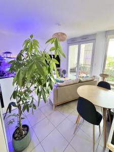 Acheter Appartement Toulouse Haute garonne