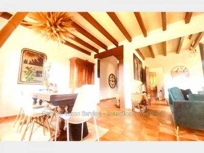 Acheter Prestige Ceret Pyrenees orientales