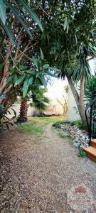 Annonce Vente 4 pices Maison Palme 11