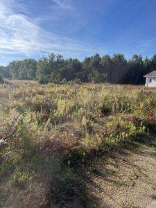 Annonce Vente Terrain Carcans 33