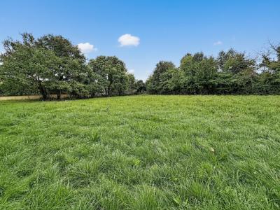 Annonce Vente Terrain Assieu 38