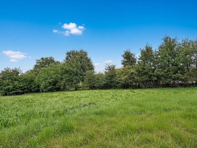 Acheter Terrain 800 m2 Assieu