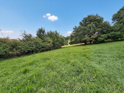 Acheter Terrain Assieu Isere