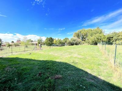 Annonce Location 3 pices Maison Comps 33