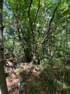 Acheter Terrain 