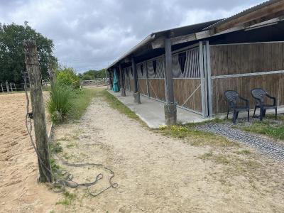 For sale 32767 m2 Loire atlantique (44260) photo 0