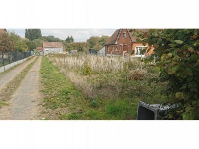 Annonce Vente Terrain Lillers 62