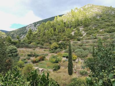 For sale Roquebrun 4 rooms 100 m2 Herault (34460) photo 1