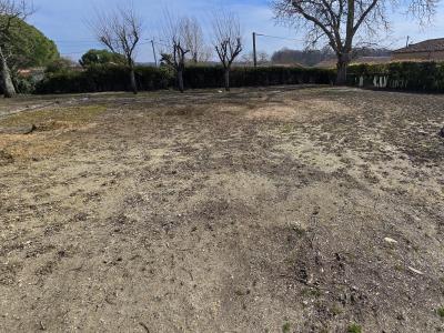 For sale Chabournay SAINT-MARTIN-LA-PALLU Vienne (86380) photo 2