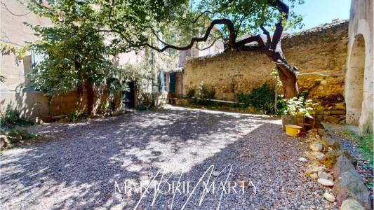 Acheter Prestige Lezignan-corbieres 469000 euros