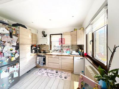 Acheter Maison 240 m2 Ugine