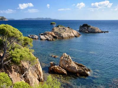 Annonce Vente 2 pices Appartement Bormes-les-mimosas 83