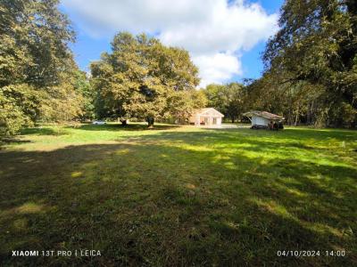Acheter Maison 283 m2 Castets