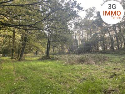 For sale Grand-champ Morbihan (56390) photo 1
