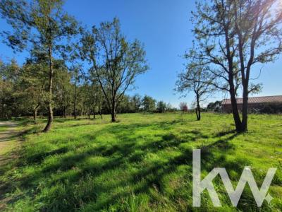 For sale Longages 1100 m2 Haute garonne (31410) photo 0