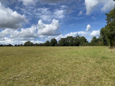 Annonce Vente Terrain Vaucelles 14