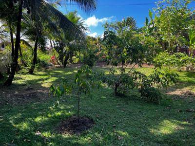 Annonce Vente Terrain Remire-montjoly 973