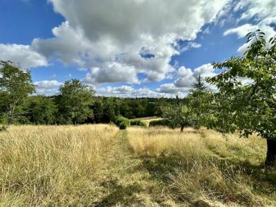 For sale Vigoulet-auzil 1614 m2 Haute garonne (31320) photo 0
