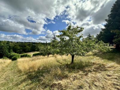 Annonce Vente Terrain Vigoulet-auzil 31