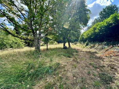 Acheter Terrain 1614 m2 Vigoulet-auzil