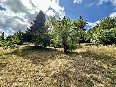 Acheter Terrain Vigoulet-auzil Haute garonne
